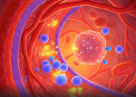 A stylized illustration of a blood vessel dilating, with calcium ions being blocked from entering muscle cells
